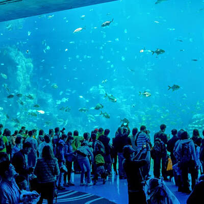 aquarium|aquarium|aquarium|aquarium|aquarium|aquarium|aquarium